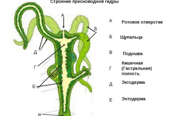 Кракен как попасть